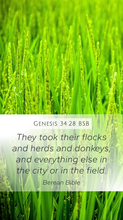 Genesis 34:28 BSB Bible Verse Image