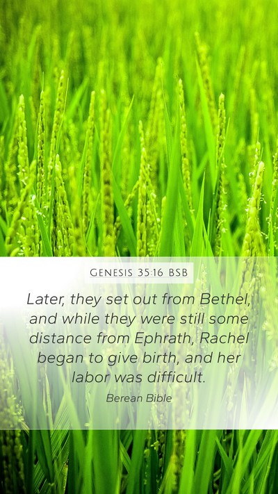 Genesis 35:16 BSB Bible Verse Image