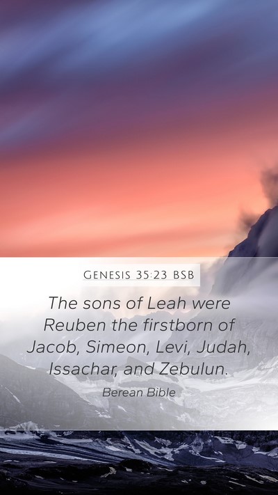 Genesis 35:23 BSB Bible Verse Image