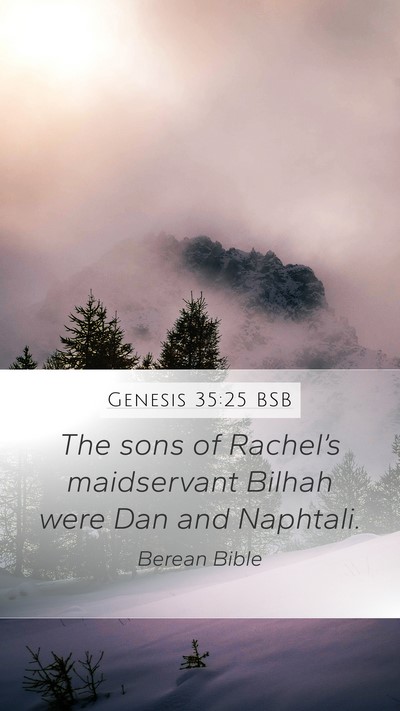Genesis 35:25 BSB Bible Verse Image