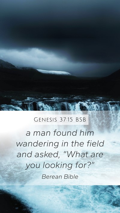 Genesis 37:15 BSB Mobile Phone Wallpaper - a man found him wandering in the field and asked, - Mobile Bible Verse Wallpaper