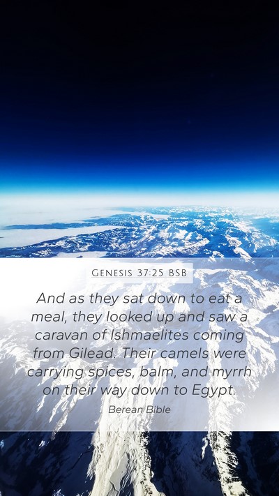 Genesis 37:25 BSB Bible Verse Image