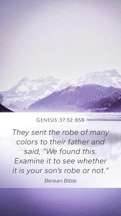 Genesis 37:32 BSB Bible Verse Image