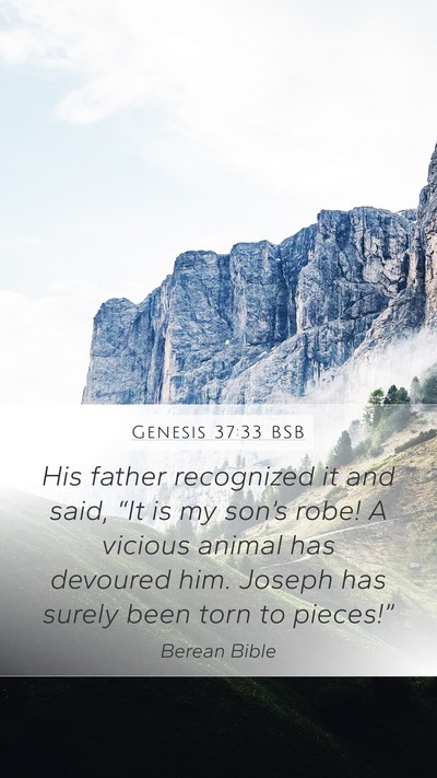 Genesis 37:33 BSB Bible Verse Image