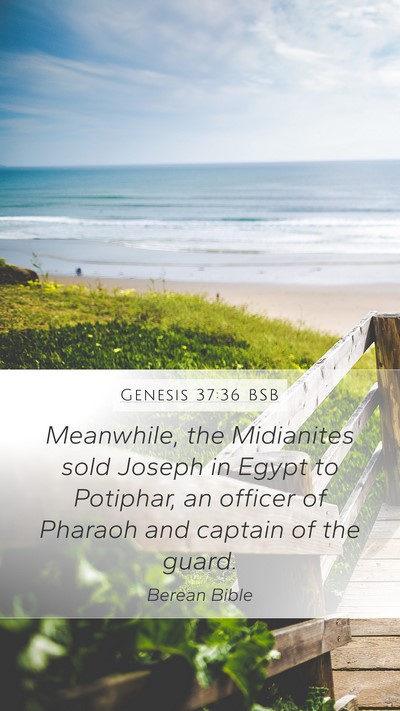 Genesis 37:36 BSB Bible Verse Image