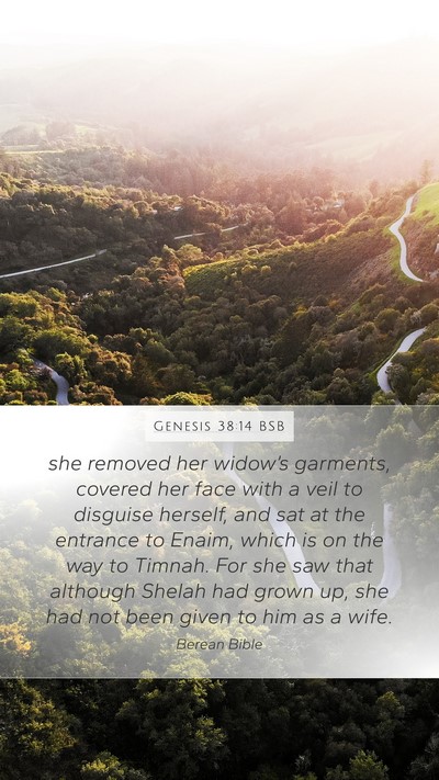 Genesis 38:14 BSB Bible Verse Image