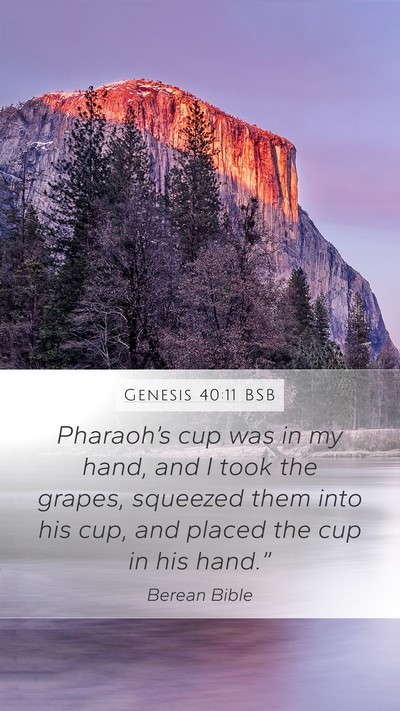 Genesis 40:11 BSB Mobile Phone Wallpaper - Pharaoh’s cup was in my hand, and I took the - Mobile Bible Verse Wallpaper
