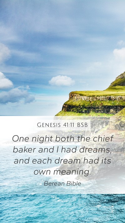 Genesis 41:11 BSB Bible Verse Image