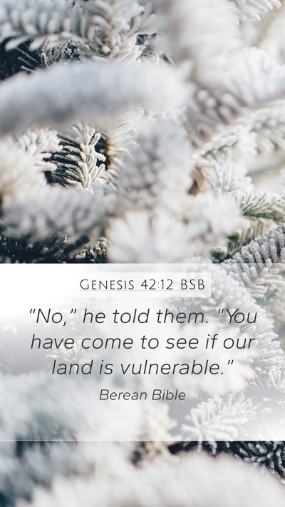 Genesis 42:12 BSB Bible Verse Image