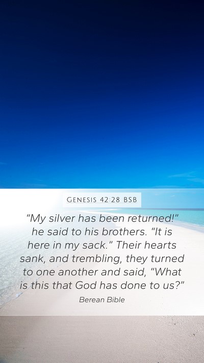 Genesis 42:28 BSB Mobile Phone Wallpaper - “My silver has been returned!” he said to his - Mobile Bible Verse Wallpaper