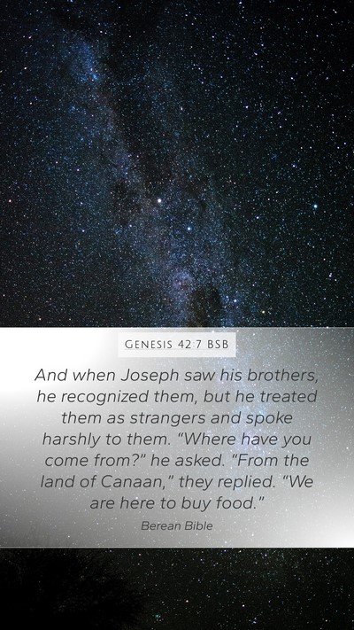 Genesis 42:7 BSB Mobile Phone Wallpaper - And when Joseph saw his brothers, he recognized - Mobile Bible Verse Wallpaper