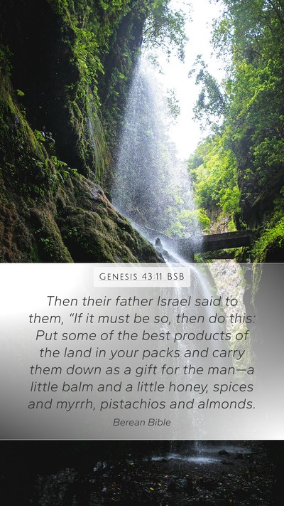 Genesis 43:11 BSB Bible Verse Image