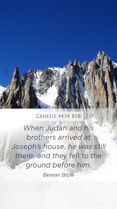 Genesis 44:14 BSB Bible Verse Image