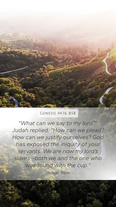 Genesis 44:16 BSB Bible Verse Image