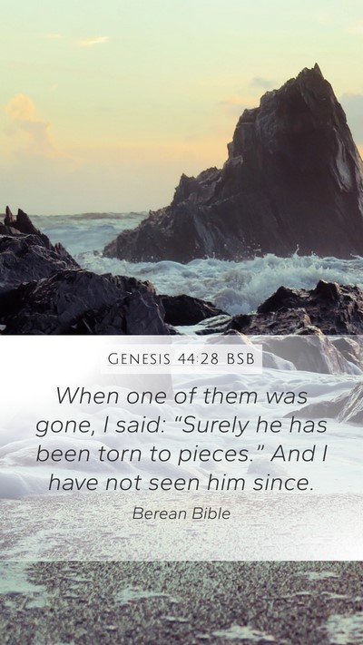 Genesis 44:28 BSB Bible Verse Image