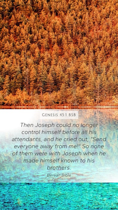 Genesis 45:1 BSB Mobile Phone Wallpaper - Then Joseph could no longer control himself - Mobile Bible Verse Wallpaper