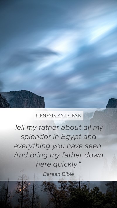 Genesis 45:13 BSB Bible Verse Image