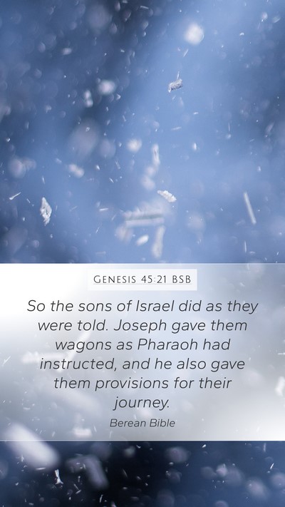 Genesis 45:21 BSB Bible Verse Image