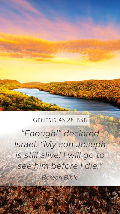 Genesis 45:28 BSB Bible Verse Image