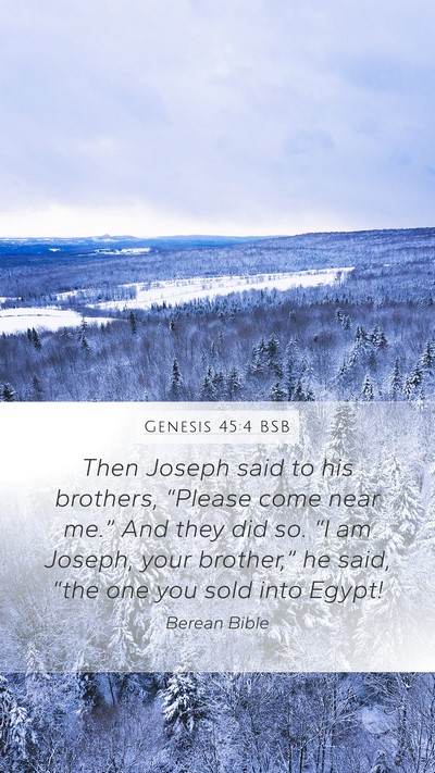 Genesis 45:4 BSB Bible Verse Image