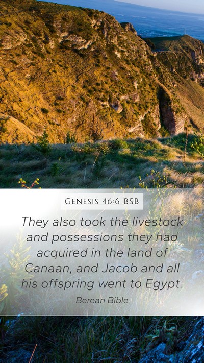 Genesis 46:6 BSB Mobile Phone Wallpaper - They also took the livestock and possessions they - Mobile Bible Verse Wallpaper