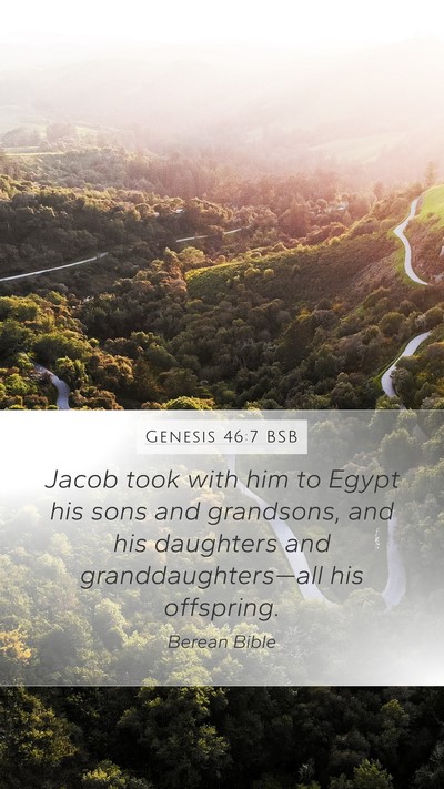 Genesis 46:7 BSB Mobile Phone Wallpaper - Jacob took with him to Egypt his sons and - Mobile Bible Verse Wallpaper
