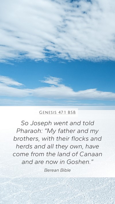 Genesis 47:1 BSB Mobile Phone Wallpaper - So Joseph went and told Pharaoh: “My father and - Mobile Bible Verse Wallpaper