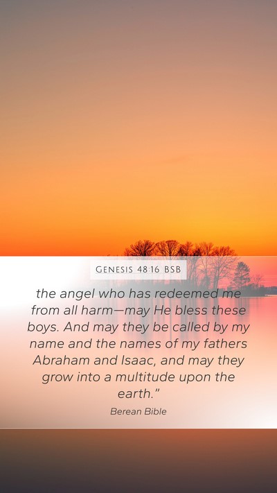 Genesis 48:16 BSB Bible Verse Image