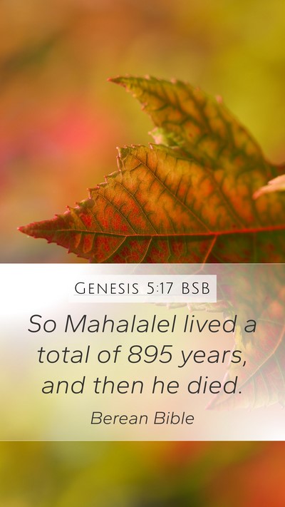 Genesis 5:17 BSB Mobile Phone Wallpaper - So Mahalalel lived a total of 895 years, and then - Mobile Bible Verse Wallpaper