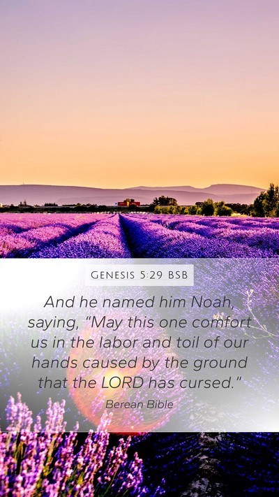 Genesis 5:29 BSB Bible Verse Image