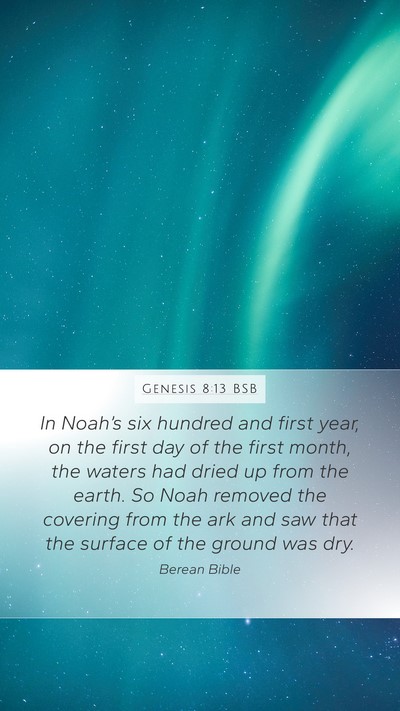 Genesis 8:13 BSB Bible Verse Image