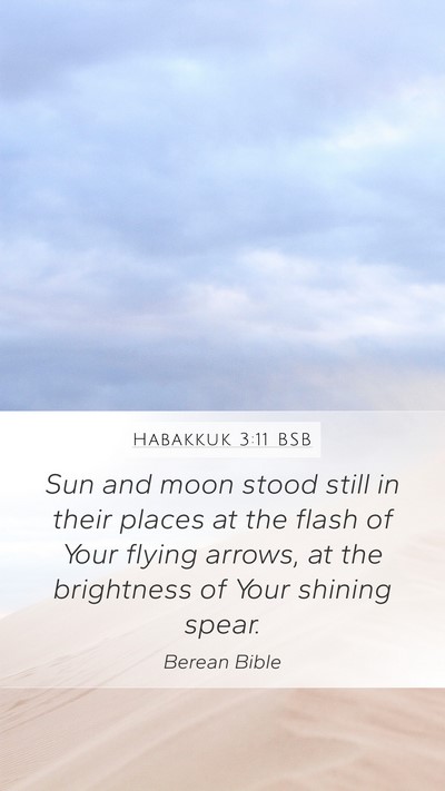 Habakkuk 3:11 BSB Bible Verse Image