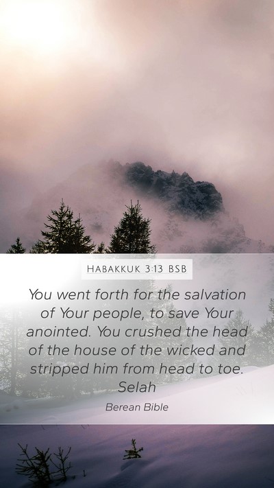 Habakkuk 3:13 BSB Bible Verse Image