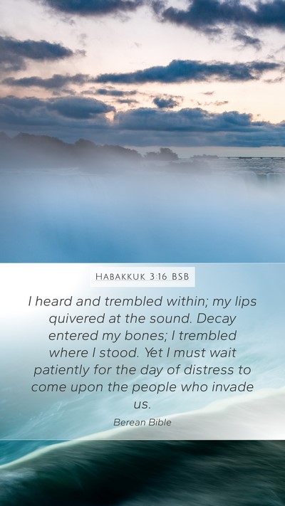Habakkuk 3:16 BSB Bible Verse Image
