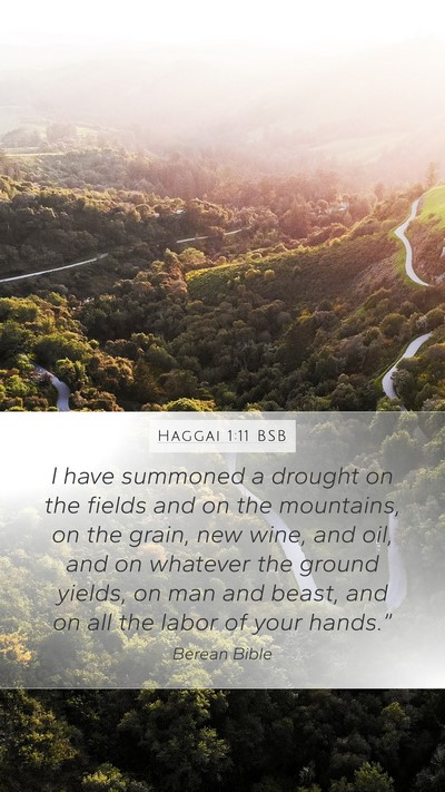 Haggai 1:11 BSB Bible Verse Image