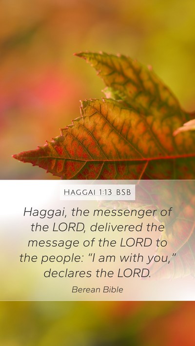 Haggai 1:13 BSB Bible Verse Image