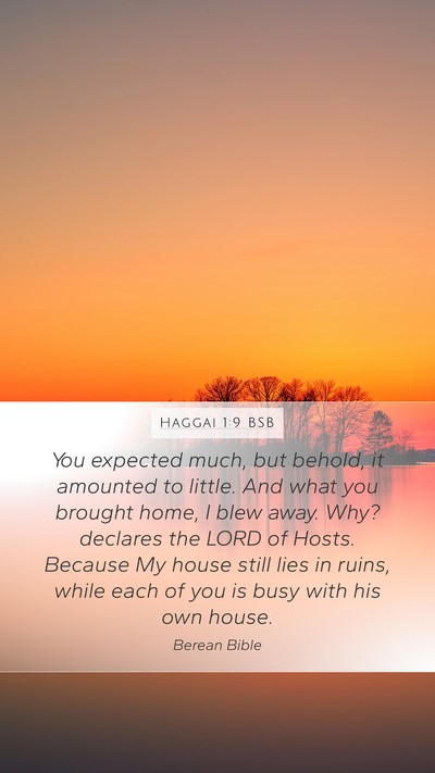 Haggai 1:9 BSB Bible Verse Image