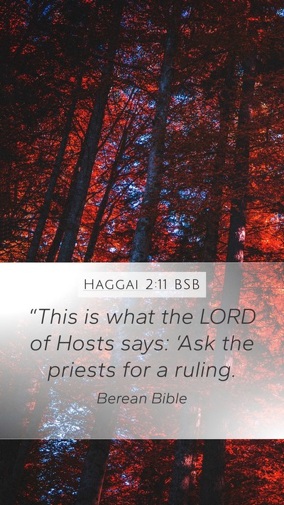 Haggai 2:11 BSB Mobile Phone Wallpaper - “This is what the LORD of Hosts says: ‘Ask - Mobile Bible Verse Wallpaper