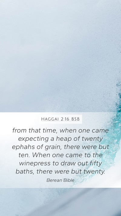 Haggai 2:16 BSB Bible Verse Image