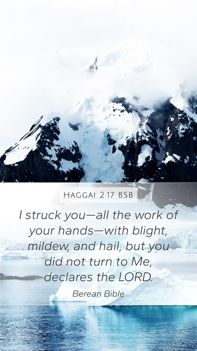 Haggai 2:17 BSB Bible Verse Image