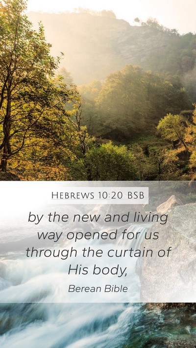 Hebrews 10:20 BSB Bible Verse Image
