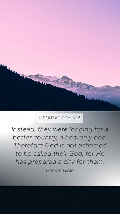 Hebrews 11:16 BSB Bible Verse Image