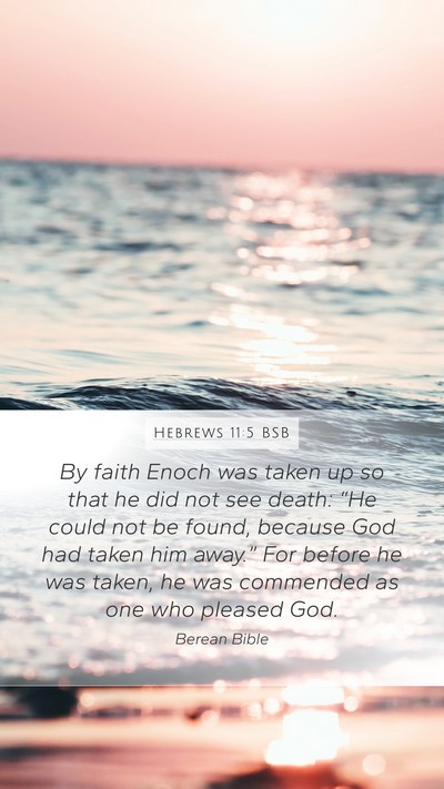 Hebrews 11:5 BSB Bible Verse Image