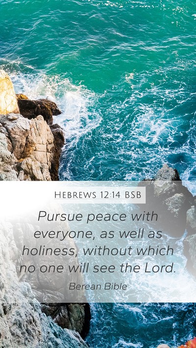 Hebrews 12:14 BSB Bible Verse Image