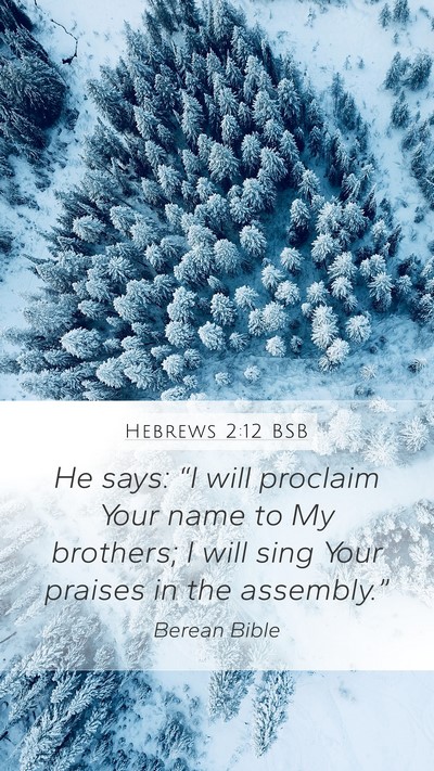 Hebrews 2:12 BSB Bible Verse Image