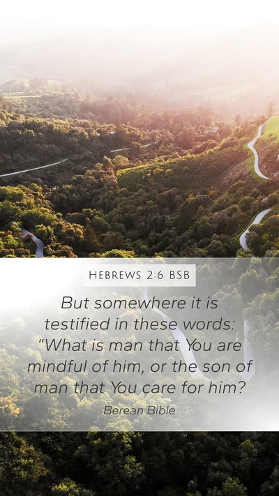 Hebrews 2:6 BSB Bible Verse Image