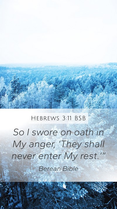 Hebrews 3:11 BSB Bible Verse Image