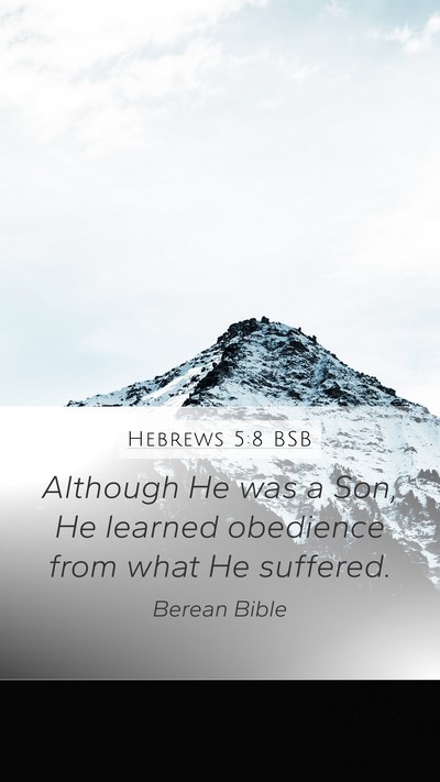 Hebrews 5:8 BSB Mobile Phone Wallpaper - Although He was a Son, He learned obedience from - Mobile Bible Verse Wallpaper