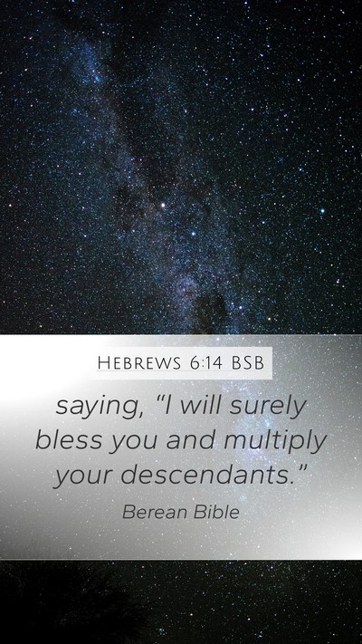 Hebrews 6:14 BSB Bible Verse Image