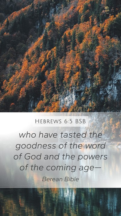 Hebrews 6:5 BSB Bible Verse Image